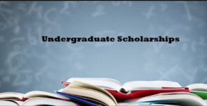 Undergraduate Scholarships